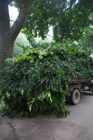 Hanoi